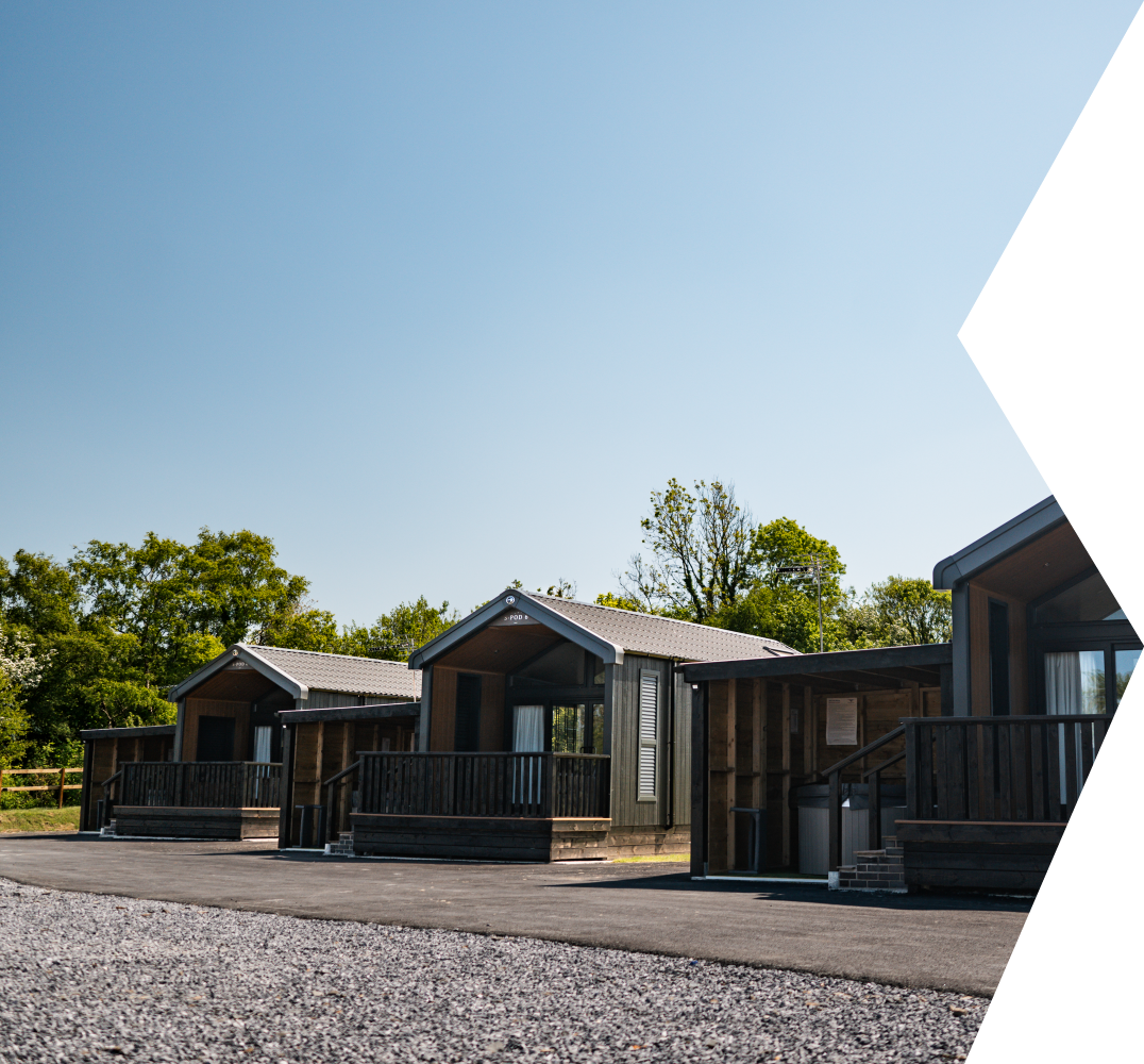 Stays Hero- Desktop.png