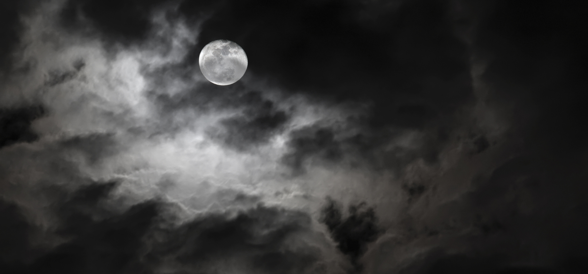 website banner (2).png