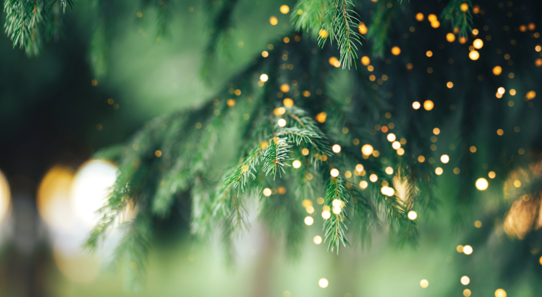 Christmas header.png