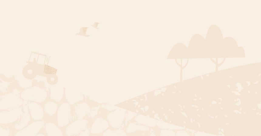 Legal Page Banner Mobile.jpg Legal Page Banner Mobile.jpg