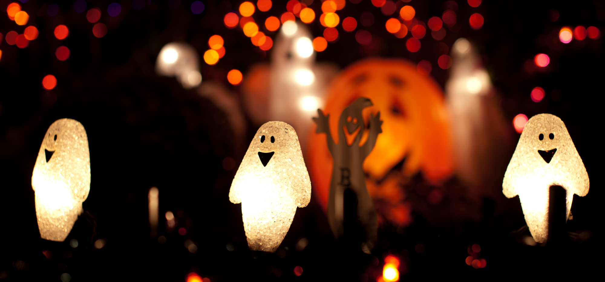 website banner (3).png